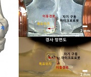 마이크로로봇으로 관절염 고친다