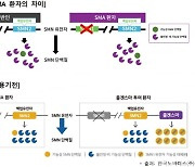 약가 20억원, 희귀질환 유전자치료제 '졸겐스마'..국내 허가