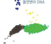 뇌에 칼 대지 않고 '간질 DNA' 찾는다