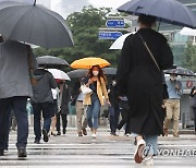 전국 천둥·번개 동반 비..수도권 출근길 시간당 20∼30mm