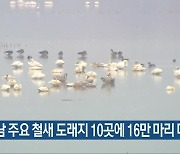 경남 주요 철새 도래지 10곳에 16만 마리 다녀가