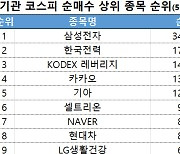 코스피 주간 기관 순매수 1위 '삼성전자'