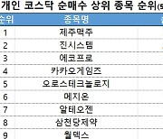 코스닥 주간 개인 순매수 1위 '제주맥주'