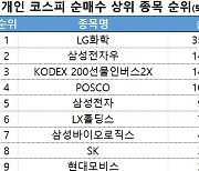 코스피 주간 개인 순매수 1위 'LG화학'