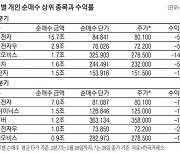 답답한 대형주에 더 답답한 동학개미..하반기엔 달라지나