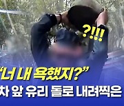 [영상]"너 내 욕했지?" 차 앞 유리 돌로 내려찍은 대전 폭군