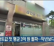 울산 아파트값 첫 평균 3억 원 돌파..작년보다 25%↑