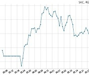 SKC, 특별관계자 지분변동