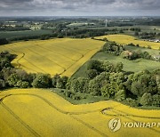 DENMARK AGRICULTURE RAPE