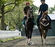 Belmont Stakes Horse Racing