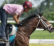 Belmont Stakes Horse Racing