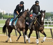 Belmont Stakes Horse Racing