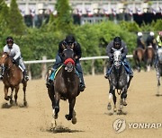 Belmont Stakes Horse Racing