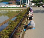 창녕군, 친환경 경남 공익형 직불제 마을·단체형 33개 소 선정