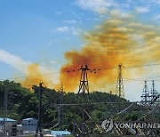 울산 폐산 처리업체서 노란 연기 다량 발생..주민들 화들짝(종합)