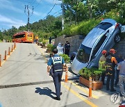 주차하다가 나무울타리 뚫고 5m 아래로 추락한 승용차