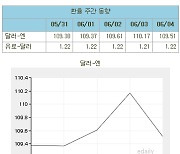 (표)환율 주간 동향