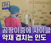 곰팡이증에 사이클론까지..악재 겹치는 인도