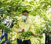 [포토]김선갑 광진구청장 아차산 일대서 외래식물 제거 활동 펼쳐