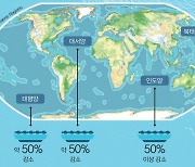 [프리미엄 리포트]전 세계 바다가 비어가고 있다