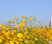 [포토친구] 상쾌한 유월 맞이하세요