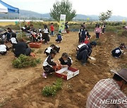 "충북으로 귀농귀촌 오세요"..도, 농촌 살아보기 등 각종 사업 추진