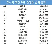 코스닥 주간 개인 순매수 1위 '에이치엘비'