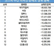 코스닥 주간 외국인 순매도 1위 '에이치엘비'