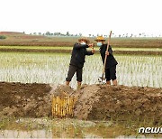 북한 협동농장에서 농업근로자들.."경쟁 열풍 세차게"