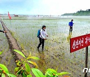 농사 중인 북한 "과학농법을 적극 받아들이자"