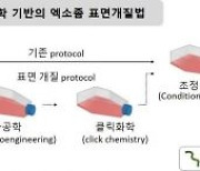 류마티스 관절염 뿌리 캐는 '표적형 줄기세포 엑소좀' 개발