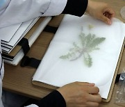 식물학자 김진옥 박사 들려주는 식물 이야기