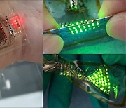 삼성 종기원, 피부에 붙어 늘어나는 '스트레처블' OLED·센서 상용화 가능성 입증
