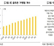 코로나에 엇갈린 희비..골프연습장 쓰러질 때 스크린골프 대호황