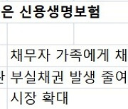 가계 빚 1765조 '대출의 시대'..신용보험, '빚 대물림' 막는다