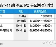 '진단키트 대어' SD바이오센서..고평가 논란 넘어설까