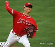 "게릿 콜 직구+비버 변화구, 오타니 MLB 최고의 공" 극찬