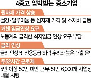 '원자재값·주52시간·금리인상·최저임금' 中企 4중고.."코로나보다 두렵다"