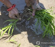 NEPAL DAILY LIFE