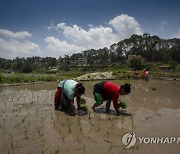 NEPAL DAILY LIFE