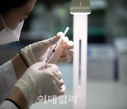 [속보]국내 개발 5개 백신 임상 1상 접종 끝내..7월 3상 전망