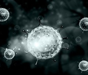 왜 일부 코로나19 변이 바이러스는 전염력이 세지는 것일까?