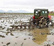 북한 "올해 알곡생산 결정적 승리"..농촌 추동에 총력