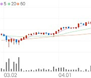 대성홀딩스, +0.84% 52주 신고가