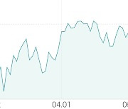 [강세 토픽] 미국 - 반도체 설계·생산 테마, 엔비디아 +3.59%, 타이완 반도체 매뉴팩처링 ADR +2.30%