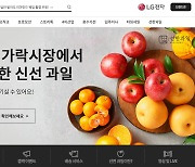 과일 파는 전자랜드, 와인 파는 하이마트..외도 이유는