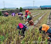 농협 제주본부, 농업·농촌 활성화 사업 34건에 28억원 지원