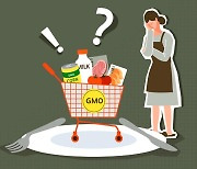 [알기 쉬운 식품·의료제품 이야기] 식품용 유전자 변형 생물체(LMO), 우리 식탁에 오르기까지