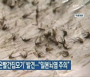 전북서 올해 첫 '작은빨간집모기' 발견.."일본뇌염 주의"