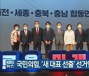 국민의힘, '새 대표 선출' 선거인단 투표 시작